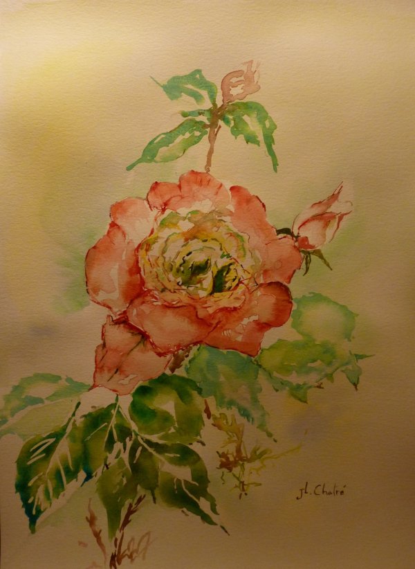 1 rose rose