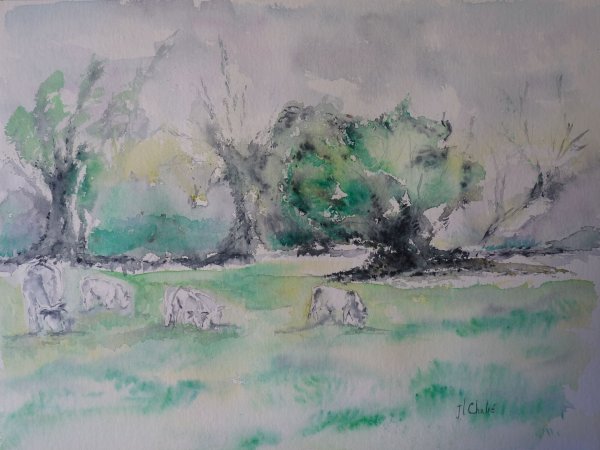 Au pré sous les vieux saules