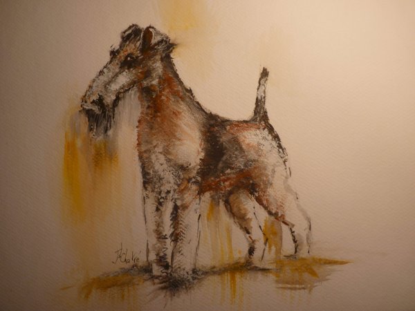fox