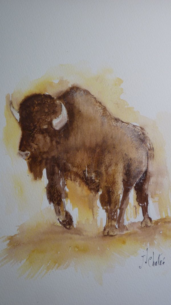 Bison du père Jean-Claude