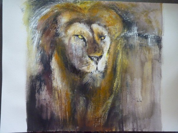 Lion du parc Kruger