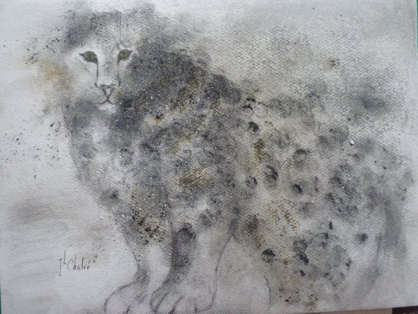 Panthère des neiges