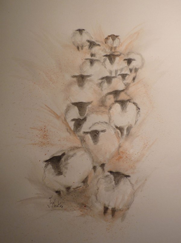 Moutons têtes noires en colonne