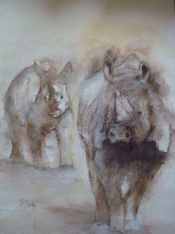 Deux rhinocéros d'Afrique du Sud