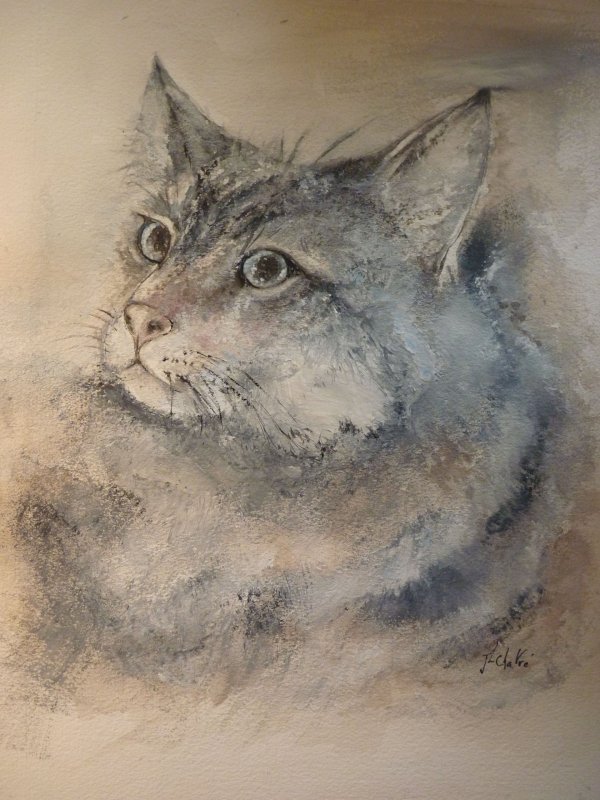 Chat gris tigré